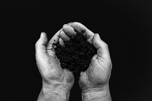 Hands and Soil