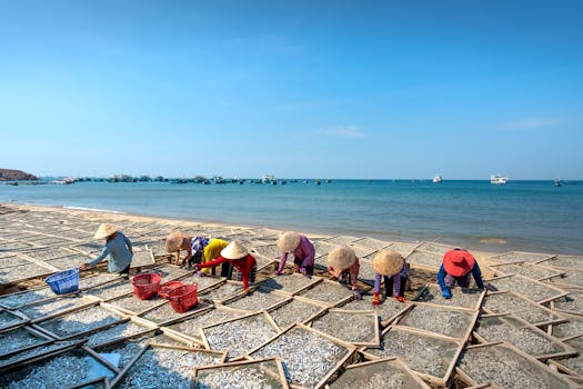 Workers Drying Fishes on Shore